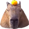 capybaraa emoji