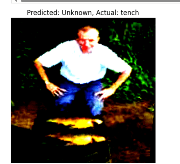 https://scrapbook-into-the-redwoods.s3.amazonaws.com/32d64a2d-bd24-4bb9-9345-15ddcb4ad4a6-image.png